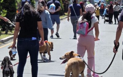 Municipalidad de Quetzaltenango aclara que el proyecto «Pasos y Pedales» no está prohibido y detalla ruta para su reactivación.