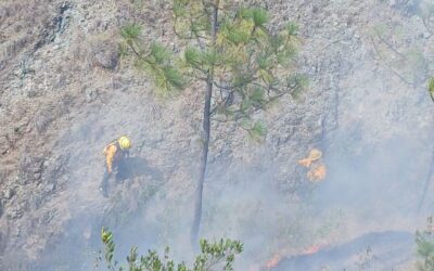 Conred contabiliza este año 1 mil 861 incendios