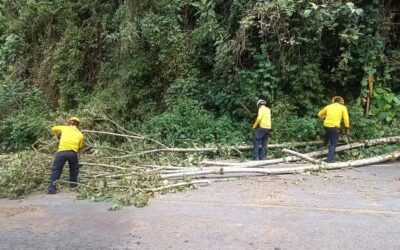 Conred reporta más de 1 mil 500 emergencias asociadas a lluvias en Guatemala