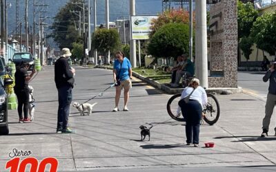 Municipalidad de Quetzaltenango informa de nueva ubicación para Pasos y Pedales