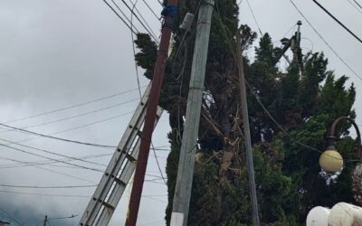 Árbol afecta líneas eléctricas en Almolonga