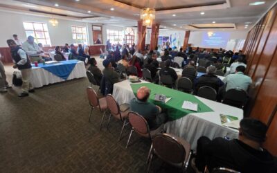 Actualizan Política Forestal de Guatemala Tras 27 Años de Vigencia.