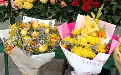 Rosas, girasoles y gerberas, las flores amarillas más buscadas este 21 de septiembre