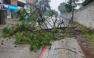 Ramas caen sobre líneas eléctricas en salida a La Esperanza