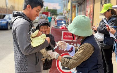 Jornada de vacunación antirrábica en Totonicapán