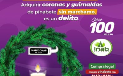 Inab recomienda usar coronas o guirnaldas con marchamo