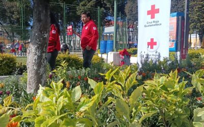 Cruz Roja Guatemalteca dona flores polinizadoras en Quetzaltenango