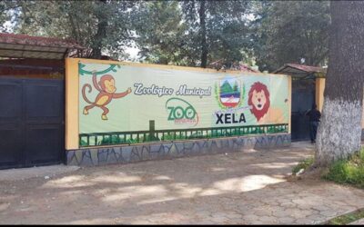 Anuncian Show Kids Fest en el Zoológico Minerva de Quetzaltenango