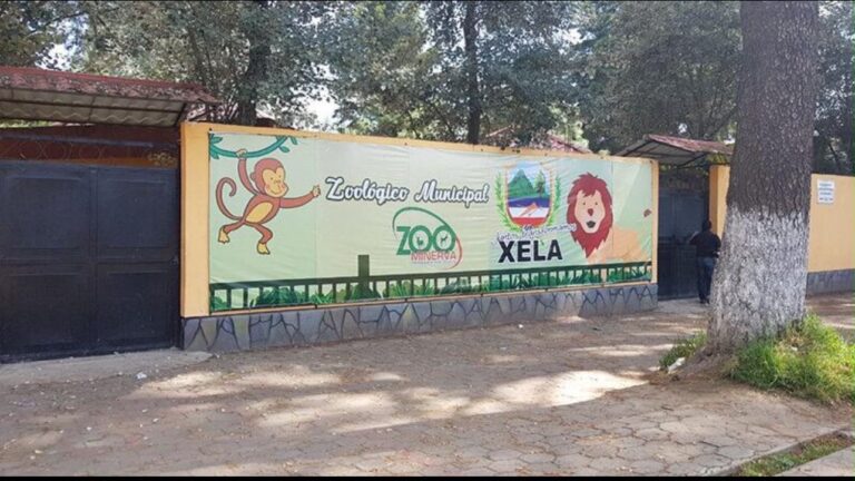 Anuncian Show Kids Fest en el Zoológico Minerva de Quetzaltenango