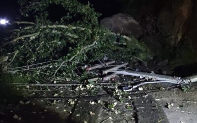 Árbol caído deja sin energía a sectores rumbo al Cerro Quemado