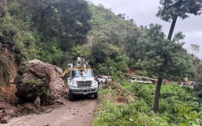 Caída de árbol destruye infraestructura eléctrica y deja sin servicio a sectores de Quetzaltenango