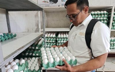 Controles del MAGA confirman que huevos están libres de químicos y antibióticos