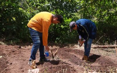 89 mil adolescentes participaron en consultas del Acuerdo Nacional de Educación