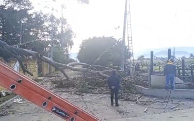 Cierre total en la D3 camino a aldea Barrios por trabajos de la EEMQ