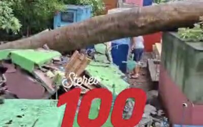 Árbol cae sobre varios panteones en cementerio de Champerico